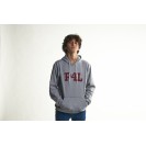 P4L HOODIE GREY